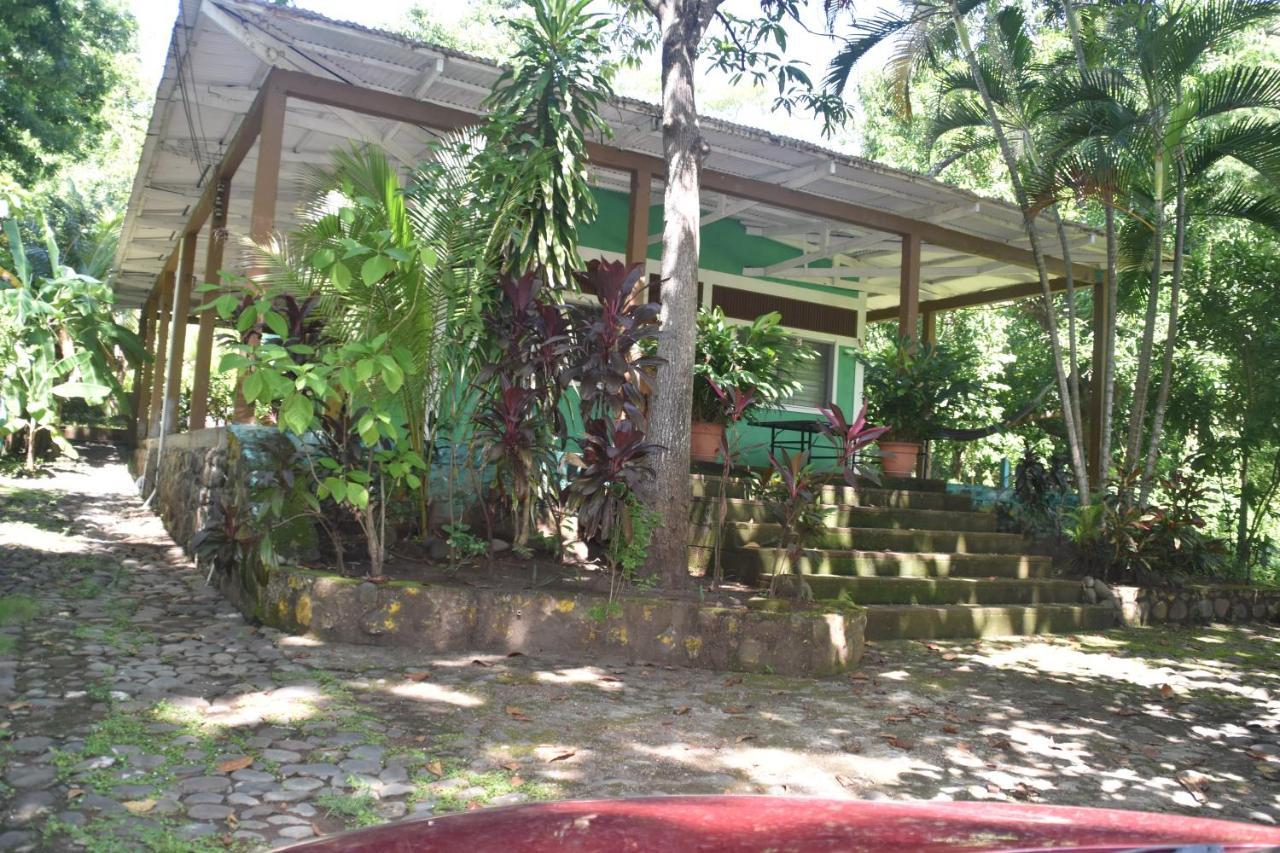 Hammock Plantation Lejlighed El Zonte Eksteriør billede